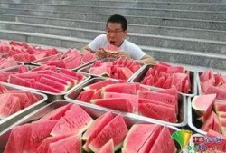 学校免费吃瓜,免费吃瓜活动乐翻天