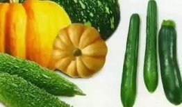 血稠可以吃瓜,吃瓜养生新主张