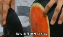 吃瓜煤球球,揭秘娱乐圈的幕后故事