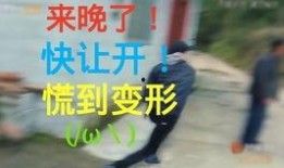 吃瓜小剧场66,揭秘娱乐圈背后的惊人真相