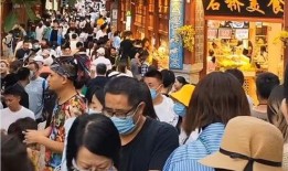 云南丽江吃瓜群众,吃瓜群众的欢乐盛宴