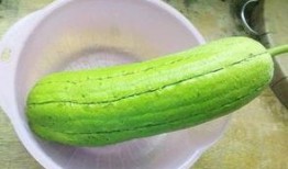 覆水瓜要怎么吃,解锁美味新体验