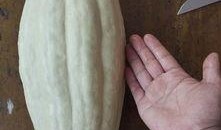 小甜梨他只吃瓜,瓜果人生，甜蜜滋味