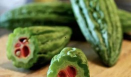 夏之吃瓜,夏日消暑美食之旅