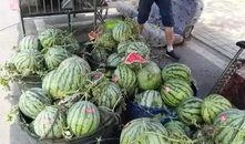 恶性吃瓜事件兰州