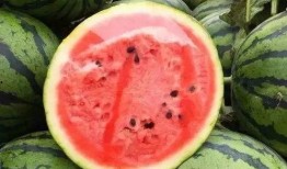 吃瓜头掉了,头掉事件背后的惊人真相