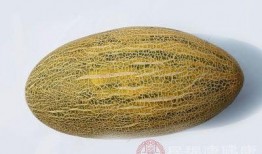 冬天吃哪种哈密瓜好一些,冬季最佳哈密瓜选择指南