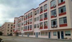 临海吃瓜大田中学,一场中学生校园生活的趣味素描