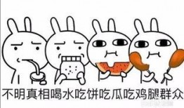 吃瓜群众何博士,瓜田里的智慧与幽默