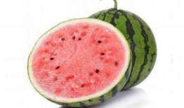 麒麟吃麒麟瓜,传奇瓜果的神秘传说