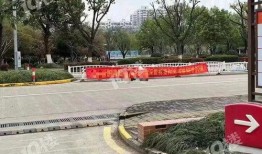 韩国条幅吃瓜,揭秘韩流文化中的趣味现象