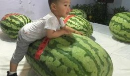 718事件吃瓜,揭秘网络舆论风暴背后的真相