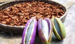 糖人吃八月瓜,甜蜜邂逅传承古韵