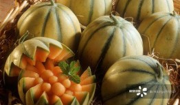 吃瓜访问密码,探寻网络热词背后的故事