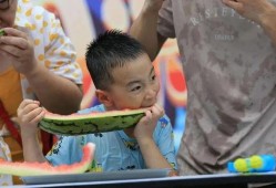 吃瓜水枪,揭秘吃瓜水枪的趣味与魅力