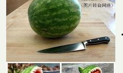 吃瓜技巧实用攻略,掌握实用攻略，轻松成为瓜界达人