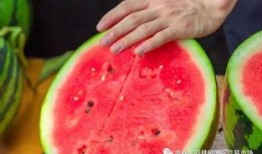 商务学院吃瓜,揭秘校园吃瓜背后的精彩故事