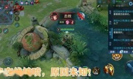 黄忠吃瓜,揭秘娱乐圈的“瓜田”趣事