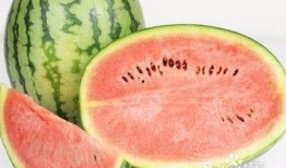 吃喷瓜拉肚子,揭秘吃喷瓜拉肚子的真相