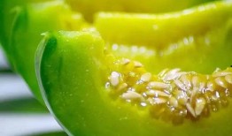 香绿瓜怎么吃,解锁夏日清新美味