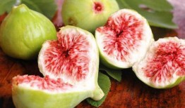 梦见吃无花果 摘瓜,无花果与瓜果的神秘邂逅