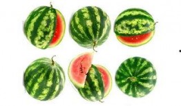 双倍珍珠快乐吃瓜,快乐吃瓜，尽享夏日清凉盛宴