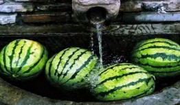 开始吃瓜了吗,从“开始吃瓜了吗”看明星幕后故事