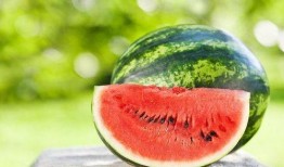 0帧吃瓜,揭秘娱乐圈幕后真相