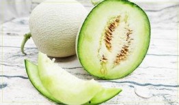 吃饭顺道吃瓜,顺道吃瓜，品味生活点滴