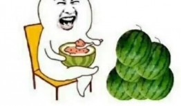 快乐吃瓜部落,揭秘网络红人的欢乐生活圈