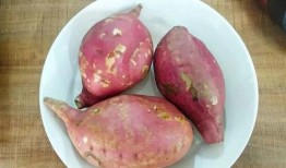 地瓜视频吃瓜,带你领略吃瓜乐趣，轻松解锁娱乐新姿势