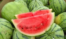 627吃瓜日,网络狂欢背后的真相与反思