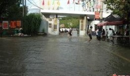 临海吃瓜大田中学,一场中学生校园生活的趣味素描