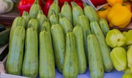 吃瓜的瓜全部小说,揭秘小说世界里的瓜田奇谭