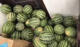 襄阳吃瓜群,揭秘当地美食文化圈