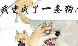 小说可欺吃瓜人,一场笑料百出的市井烟火