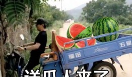 田间吃瓜文案短句,夏日味蕾盛宴