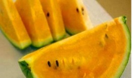 吃瓜可以吃瓤嘛,瓜瓤也能成为美味佳肴？