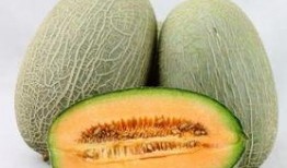 吃哈密瓜可以吃瓜子吗,美味共享的夏日时光