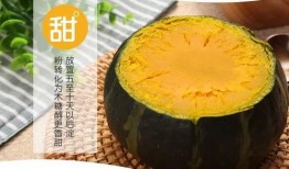 哪个瓜适合蒸着吃,探寻最适合蒸食的瓜类美味