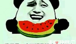 大瓜梗怎么吃,解锁美味新境界