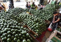 吃瓜庞庞,揭秘娱乐圈背后的那些事儿