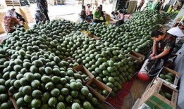 吃瓜庞庞,揭秘娱乐圈背后的那些事儿