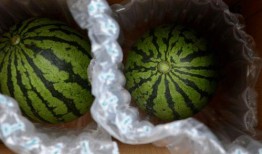 吃瓜庞庞,揭秘娱乐圈背后的那些事儿