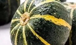 秋香吃瓜视频大全,笑料横生，欢乐无限