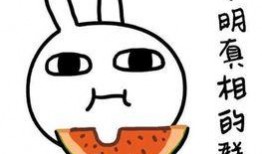 家暴吃瓜图片搞笑,吃瓜群众笑翻天！