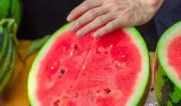 江苏无锡学校吃瓜