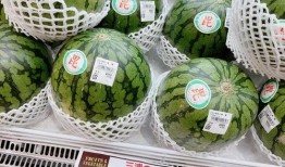 仙人吃瓜趣事,仙人吃瓜趣事大揭秘