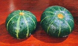 哪个瓜适合蒸着吃,探寻最适合蒸食的瓜类美味