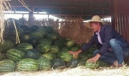 昆明本地吃瓜事件视频,一场网络热议背后的真相揭秘